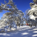 Winterimpressionen am Raichberg